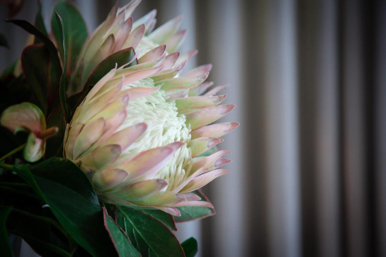 The Northcliff Boutique Hotel 约翰内斯堡 外观 照片